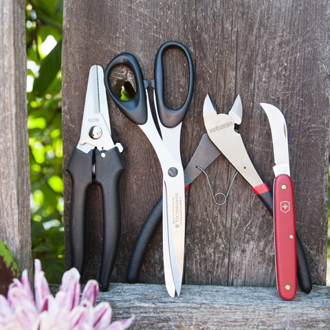 Victorinox Kitchen Shears - Potomac Floral Wholesale